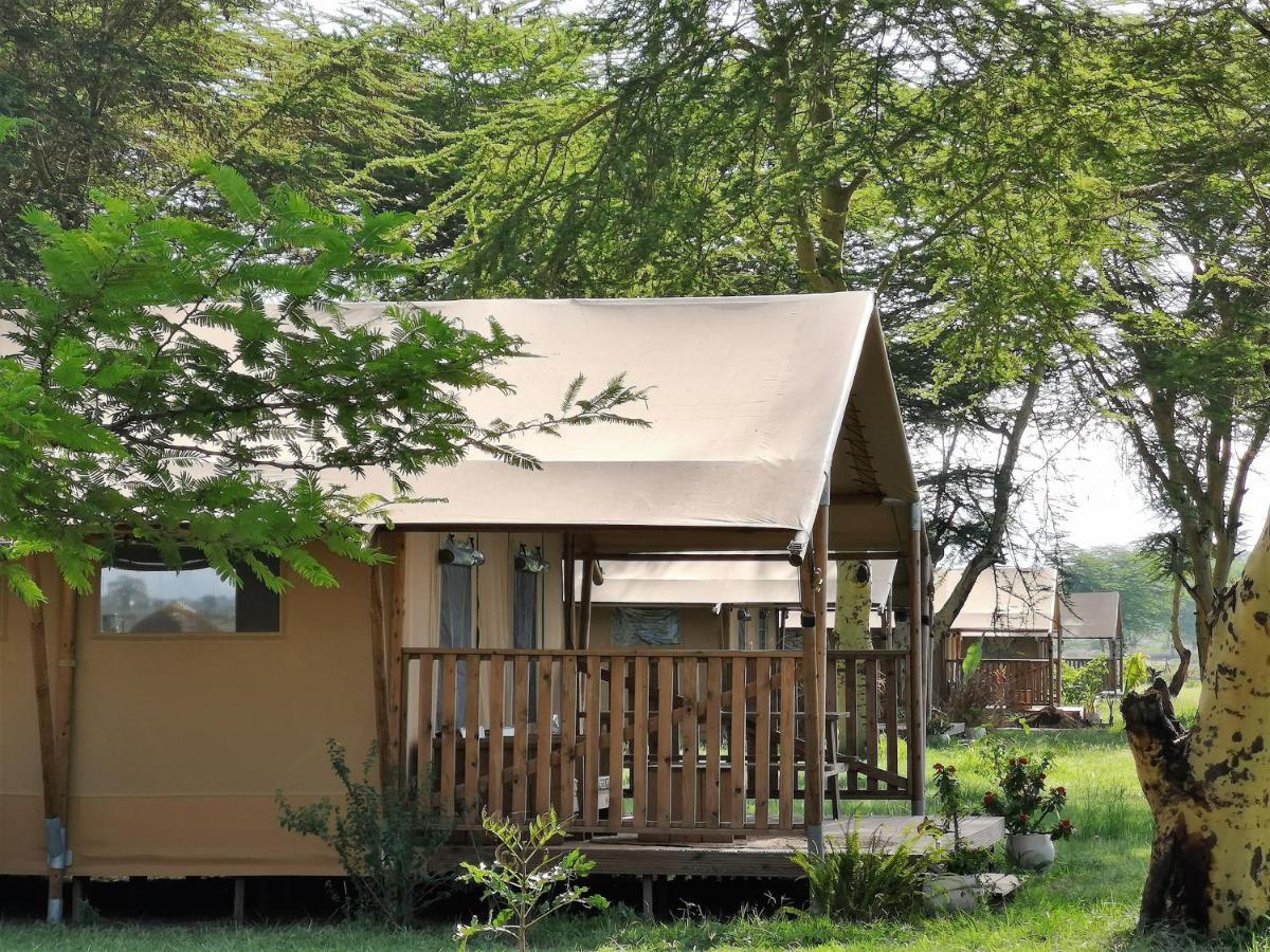 Africa Safari Manyara Located Inside A Wildlife Park 2* Mto wa Mbu